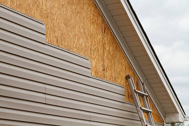 Partially installed beige vinyl siding exposing the plywood wall sheathing beneath the roofline, with an aluminum ladder leaning against the wall.